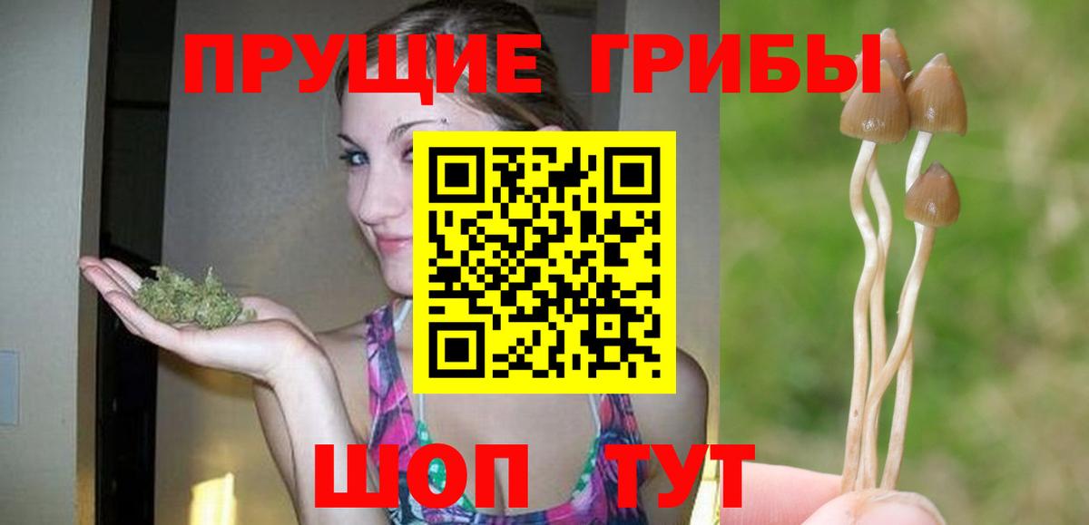 Псилоцибиновые грибы Psilocybine cubensis Учалы